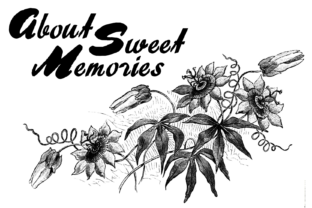 About Sweet Memories: A Bold Display Font for Designers