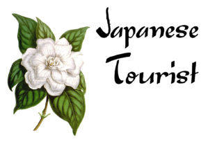 Discover the Unique Appeal of Japanese Tourist Font