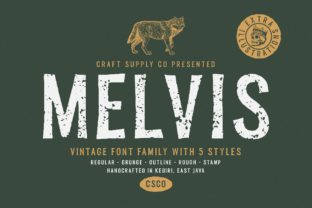 Melvis Family: A Vintage Font for Timeless Design